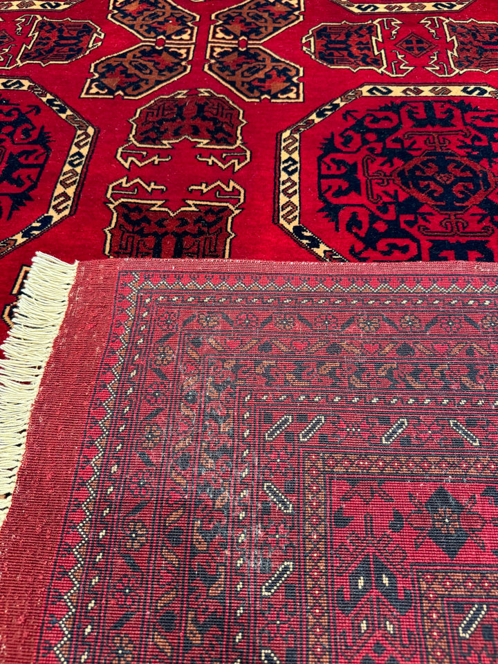 Afghan Carpet Bilcik Original Hand Woven Vegetable Dyed Wool 199x281 5.59 Square Meters - 6x8 ft