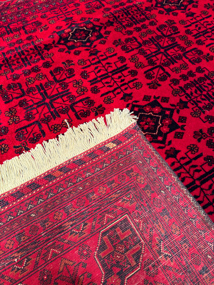 Afghan Carpet Bilcik Original Hand Woven Vegetable Dyed Wool 200x302 6.04 Square Meters - 7x10 ft