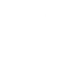 Art Doku Halı