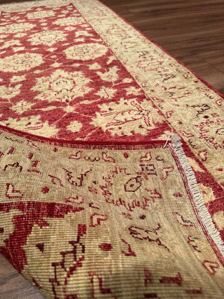 Uşak Original Handwoven Runner Rug, Red and Cream, Vegetable Dyed Wool Carpet, 0.79x199 cm, 1.57 Square Meters - 3x6 ft 