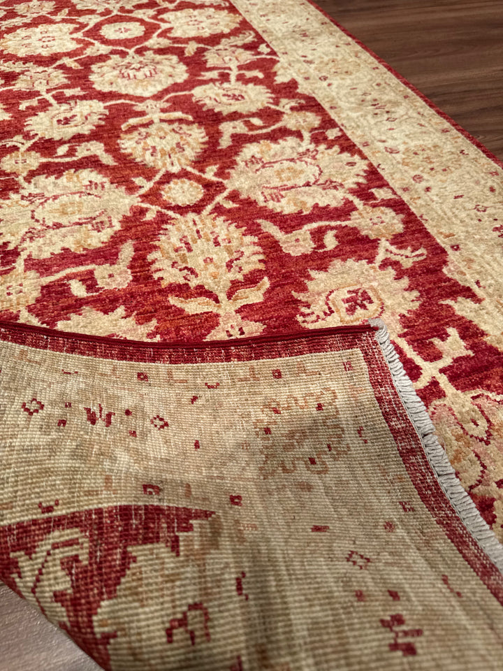Uşak Original Handwoven Runner Rug, Red and Cream, Vegetable Dyed Wool Carpet, 0.82x204 cm (1.67 square meters) - 3x6 ft 