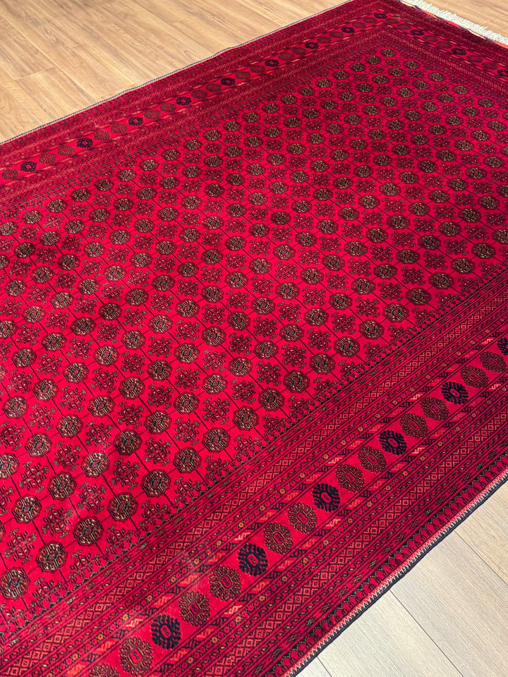 Afgan Halısı Bilcik Buhara Orijinal El Dokuması Kök Boya Yün 196x293 5.74 Metrekare - 7x10 ft