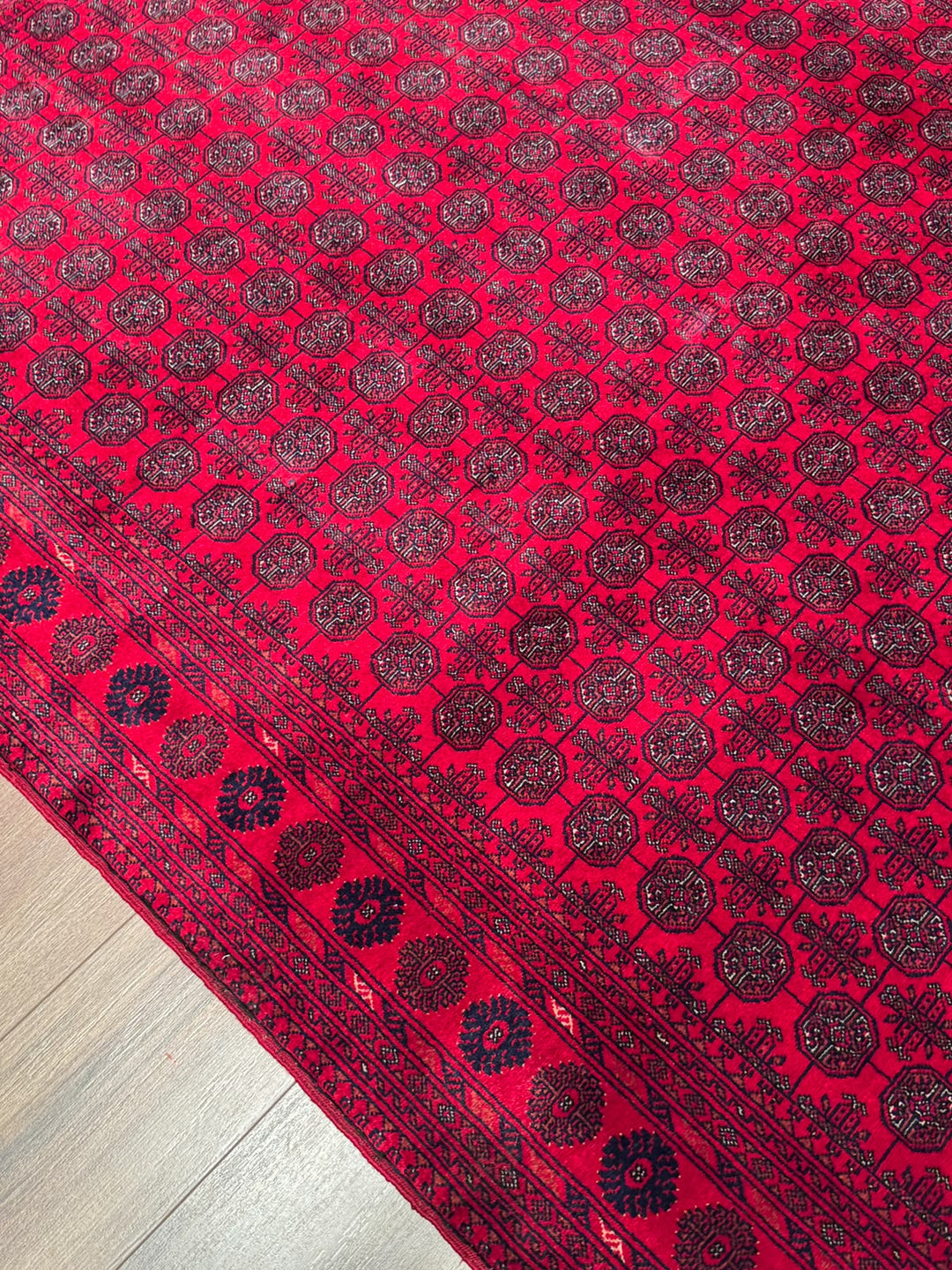Afgan Halısı Bilcik Buhara Orijinal El Dokuması Kök Boya Yün 168x231 3.88 Metrekare - 5x7 ft